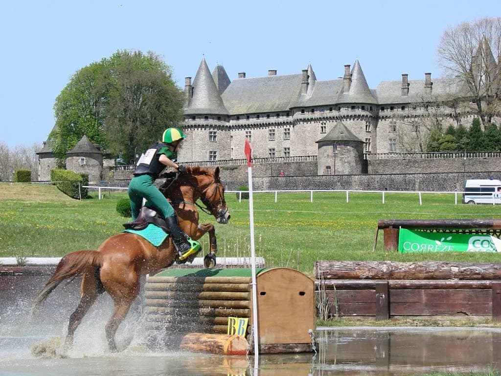 【中山大障害予想2015】障害もステゴ産駒オジュウチョウサンで勝負だ!