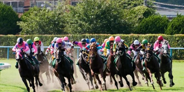 【オーシャンS2016回顧】本番高松宮記念さながらの好レース制したエイシンブルズアイ!