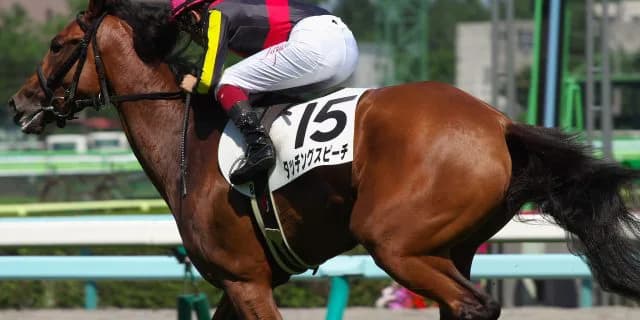 京都記念(G2)有力馬情報・タッチングスピーチ