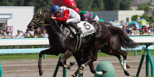 【中山牝馬S2016回顧】超スローペースでの展開制したのは重賞初Vシュンドルボン