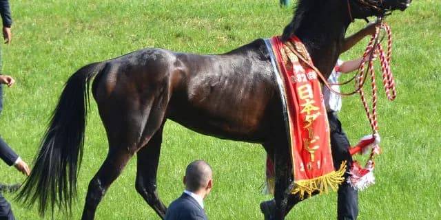 【ドバイシーマクラシック】日本馬ワンツーも見られるか!?ドゥラメンテ・ラストインパクト・ワンアンドオンリー出走