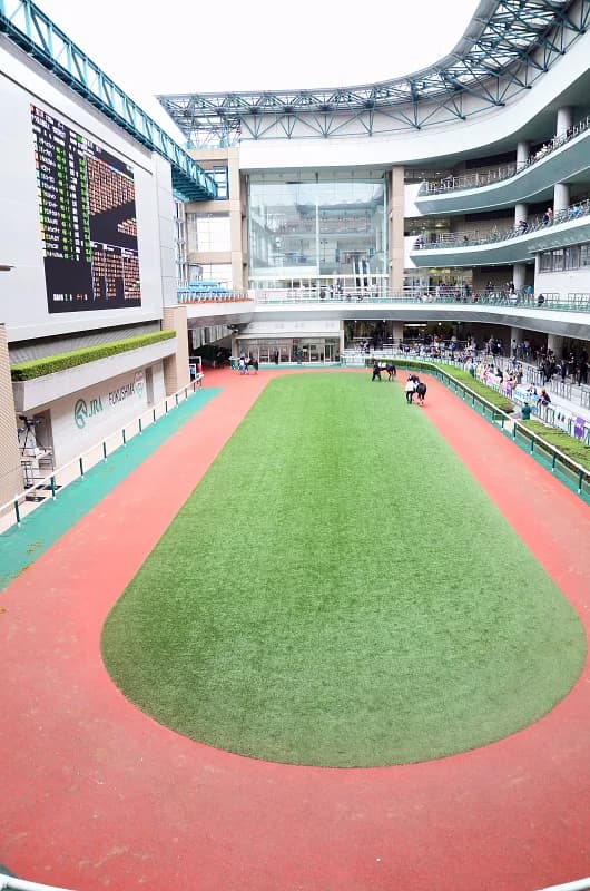 【高松宮記念2016予想】出走予定馬が続々と決定!