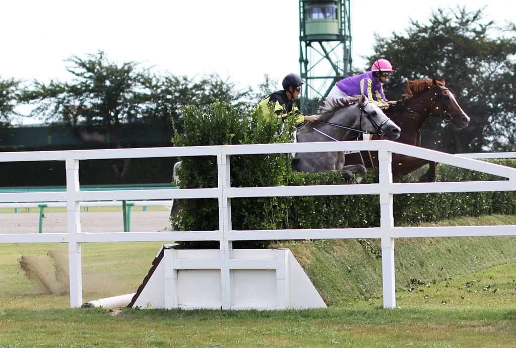 【中山GJ2016予想】競馬を語るなら障害もお忘れなく!オジュウチョウサンが1強サナシオンを差し切ってくれる!