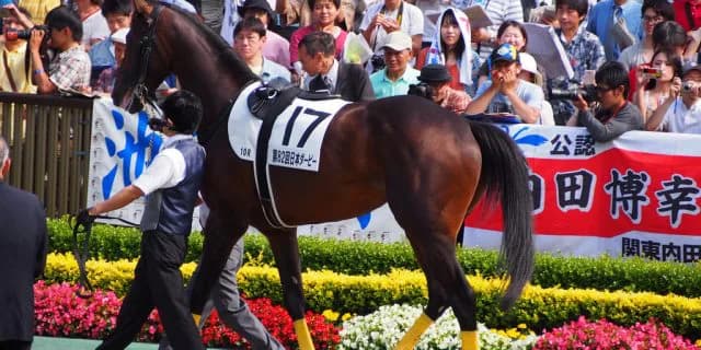 【天皇賞春2016予想】総合力のキタサンブラック、唯一の不安材料は「血統」か?