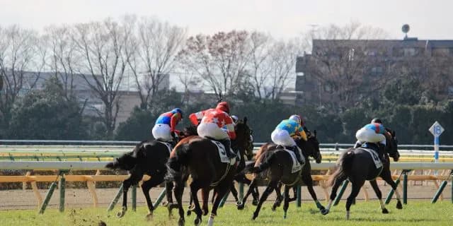 【かしわ記念2016予想】新王者モーニン、新旧ダート王対決を制し中央地方競馬を制圧か!?