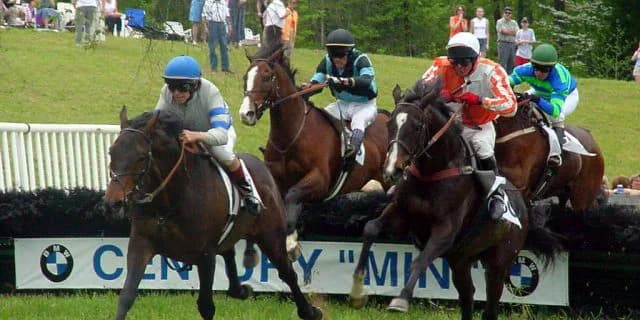 【東京ジャンプS2016予想】障害界の新星・オジュウチョウサン