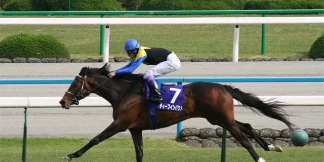 【POG】指名してはいけないディープインパクト産駒の傾向①