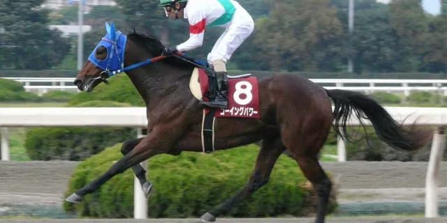 この時期のダートオープン競走が熱い