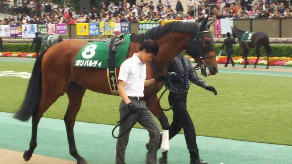 【マイルCS予想2016】ディープインパクト産駒のガリバルディが一族の夢GⅠ制覇へ!