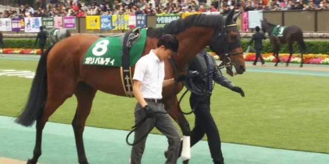 【マイルCS予想2016】ディープインパクト産駒のガリバルディが一族の夢GⅠ制覇へ!