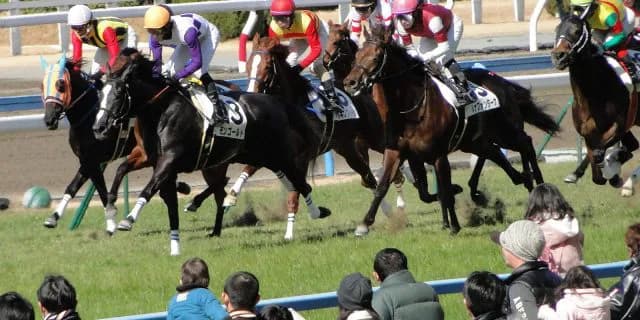 完勝ポルトフォイユに高まる期待