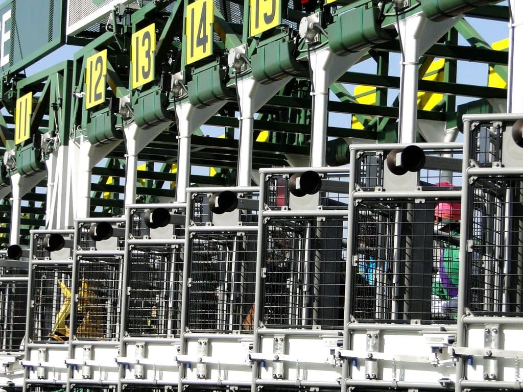 【オークス2024】ステレンボッシュやアドマイヤベルなど18頭が登録