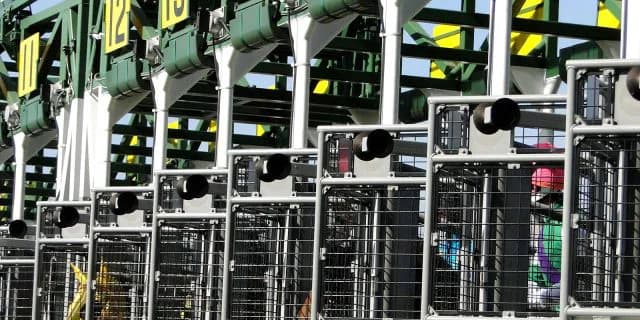 【スプリンターズS2020】出走馬決定順について