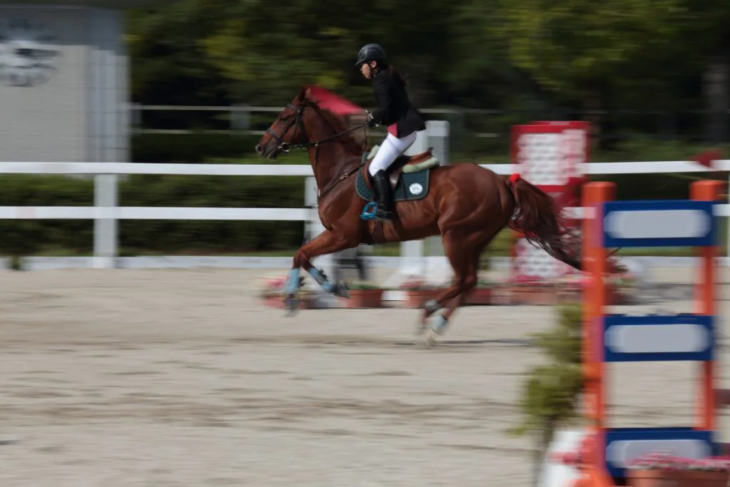 【7月第3週】サマーシリーズ結果速報