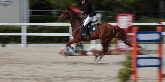 【7月第3週】サマーシリーズ結果速報