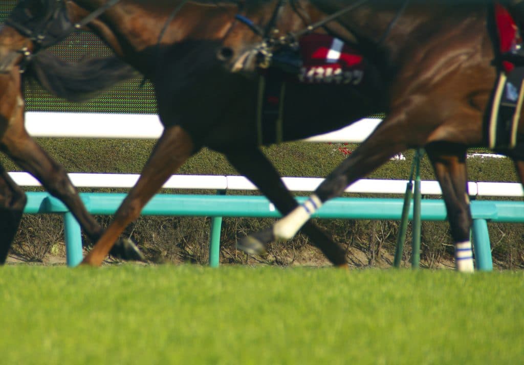 【目黒記念2020予想】キングオブコージ、ロードカナロア産駒でこの距離克服できるか？