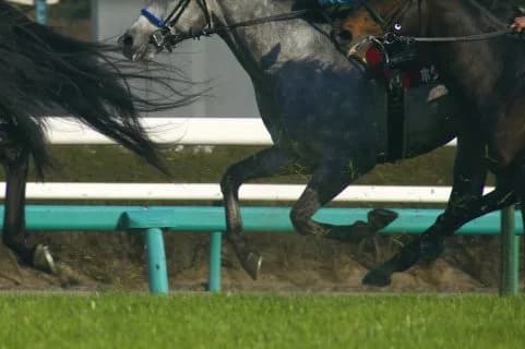 【中京記念】荒れる原因は馬場にあった？