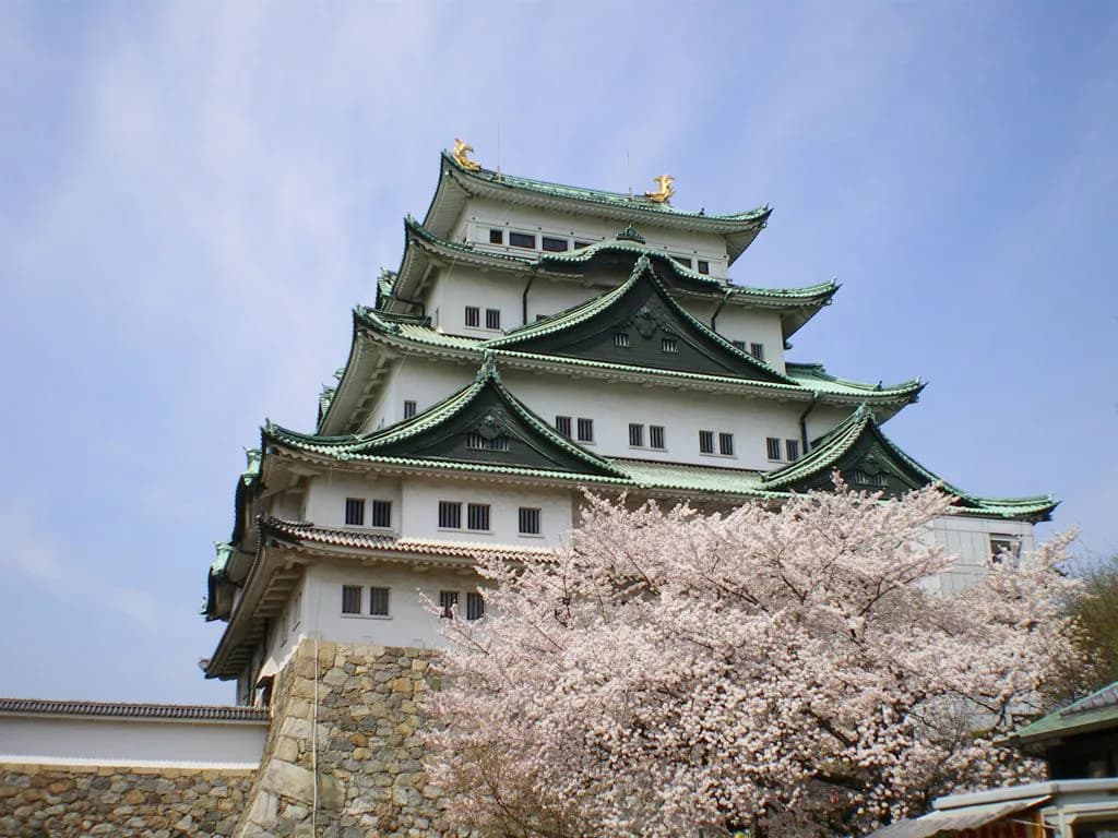 中京5R素質馬集う期待の新馬戦開催