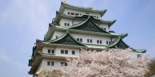 中京5R素質馬集う期待の新馬戦開催