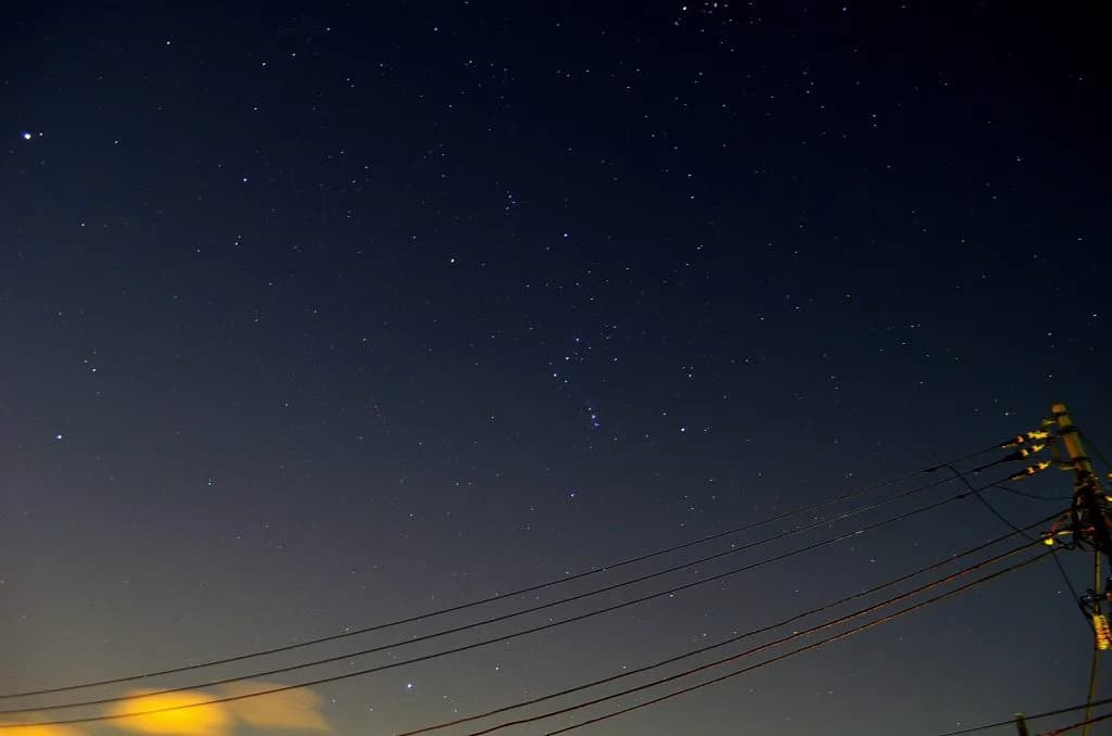 プロキオンステークス出走馬決定