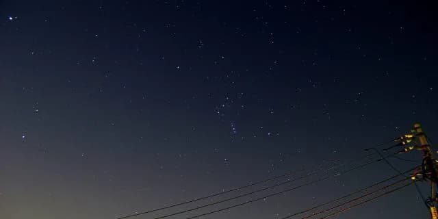 プロキオンステークス出走馬決定