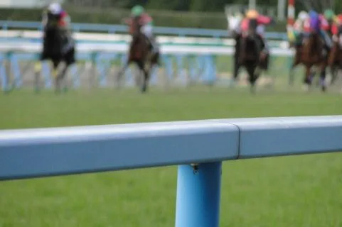 【キーンランドC2017】去年4着のソルヴェイグ、ここは結果が求められる一戦