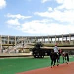 「夏競馬は荒れる」というジンクス。荒れる３つの理由とは？
