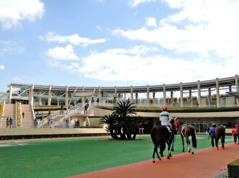 「夏競馬は荒れる」というジンクス。荒れる３つの理由とは？