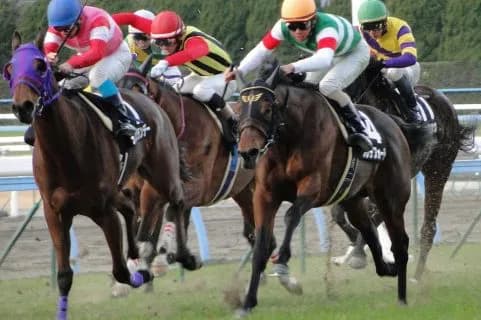 ラジオNIKKEI賞でミュゼゴーストが２～３着争いをする条件とは？