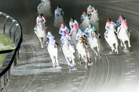 大井競馬場6Rで5頭の落馬事故。エムサンキング予後不良。