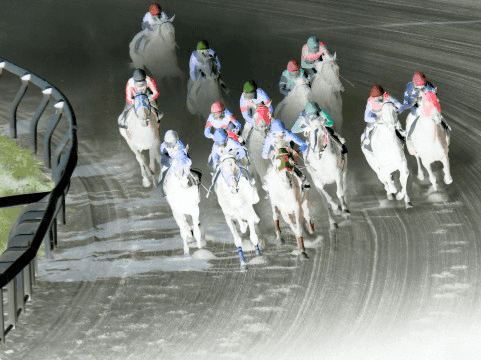 大井競馬場6Rで5頭の落馬事故。エムサンキング予後不良。