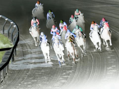 大井競馬場6Rで5頭の落馬事故。エムサンキング予後不良。