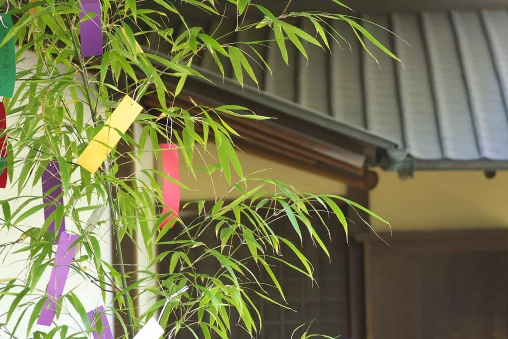 わかりやすすぎる七夕賞のサインに黄色信号