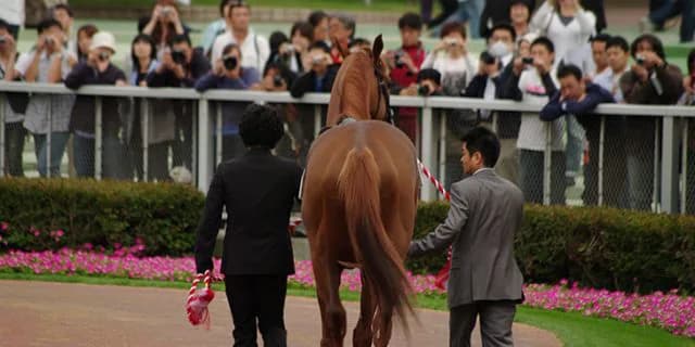 【エリザベス女王杯2015】今年の女王は誰だ？花咲き乱れる女達の闘い