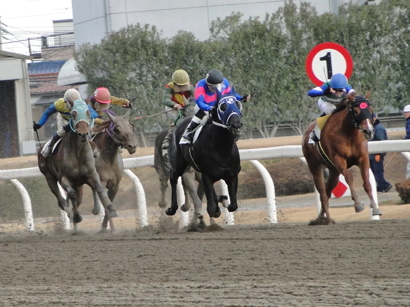 【フェブラリーS2017結果】ゴールドドリーム差し切りV！亡き父へ捧げたG1初勝利