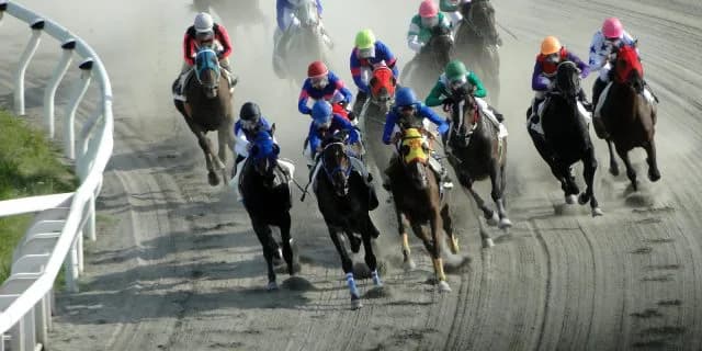 【プロキオンS予想2026】フェブラリーSの前哨戦！ロードクロンヌやブライアンセンスなど出走予定馬を考察