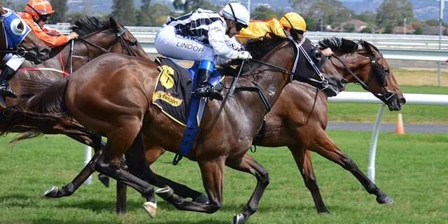 【中京記念】兎にも角にもタフな馬を選ぶべし