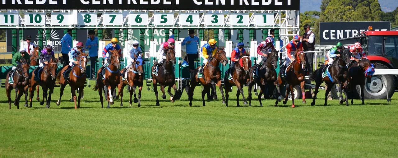 【函館2歳S】出走馬決定・非当選馬は？