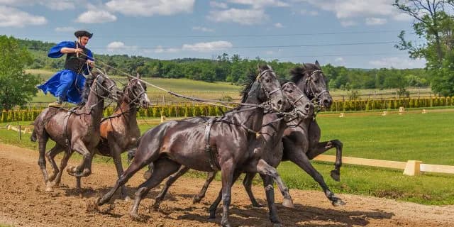 ばんえい競馬馬券発売額過去最高に