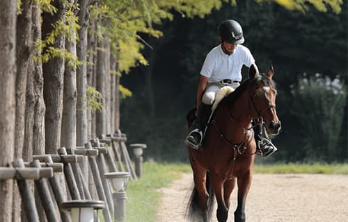 【函館記念】マイネルミラノ好調。函館で連勝なるか。
