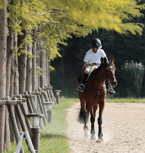 【函館記念】マイネルミラノ好調。函館で連勝なるか。