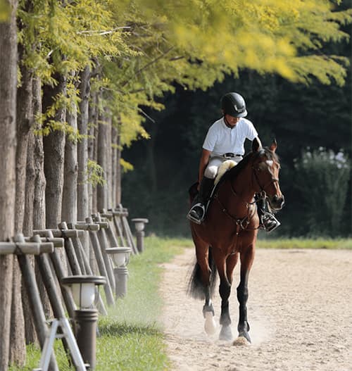 【函館記念】マイネルミラノ好調。函館で連勝なるか。
