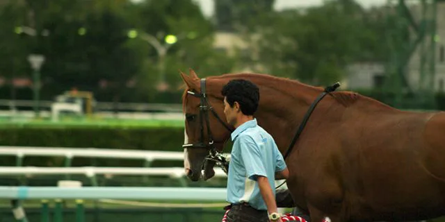 【アイビスSD】セン馬フレイムヘイローの"漢らしさ"