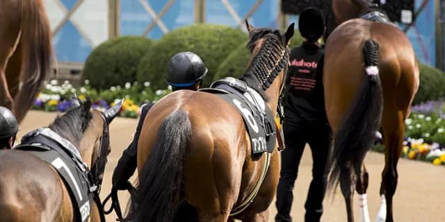 【札幌2歳S予想2019】調教・最終追い切りが高評価の馬トップ3