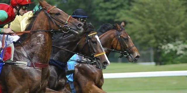 【中京記念】35度の暑さに負けない熱戦！スマートオリオン粘り勝ち！