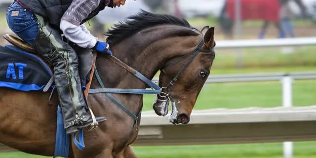 【アイビスSD】狙いはサマースプリント組？