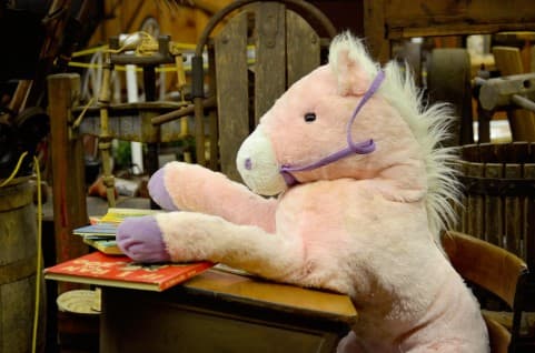 【新潟2歳S】プリンシパルスター"予習"はバッチリ！マイル戦に期待高まる