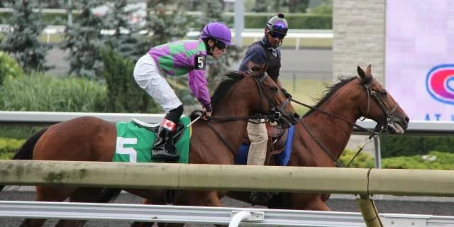 【小倉記念】メイショウナルト逃げ切る態勢は整った