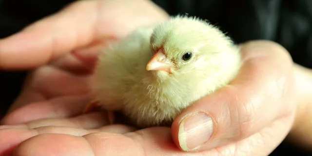 ビジネスロマンの2013が父の名と魂引き継ぐ「ステイザベスト」に決定