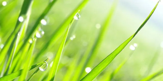 【関屋記念】カフェブリリアントに"恵みの雨"！